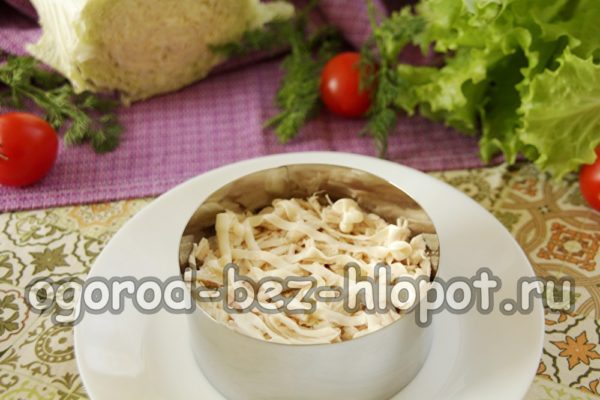 layer of chicken