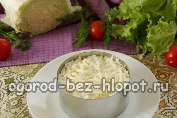 protein layer