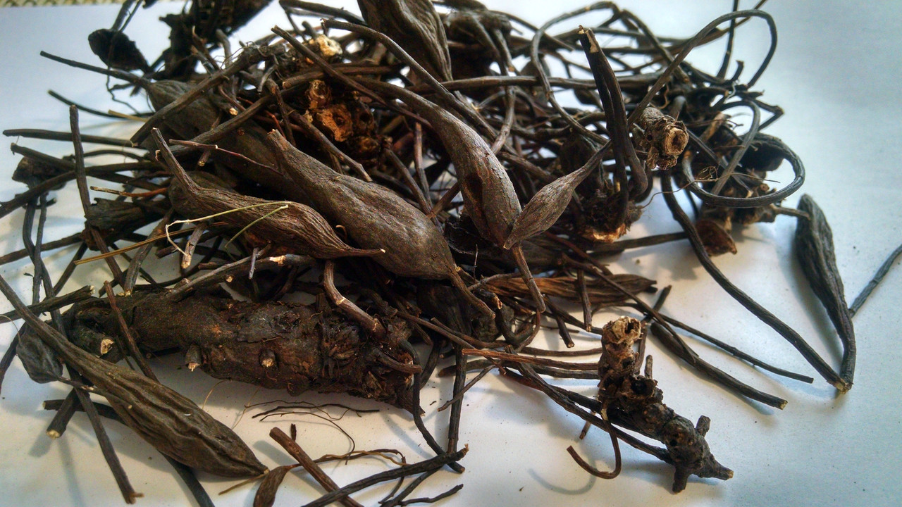 The roots