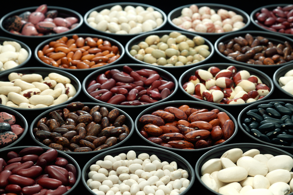 the use of beans