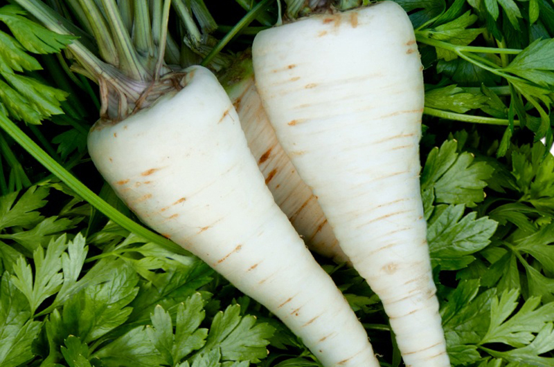 parsley root