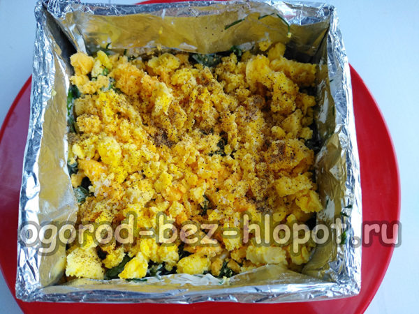 egg yolk layer