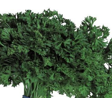 parsley