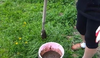 Feeding slurry