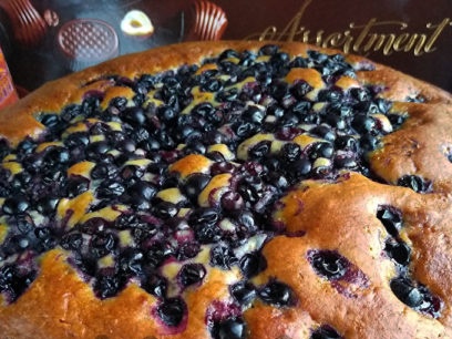 charlotte with currant is ready