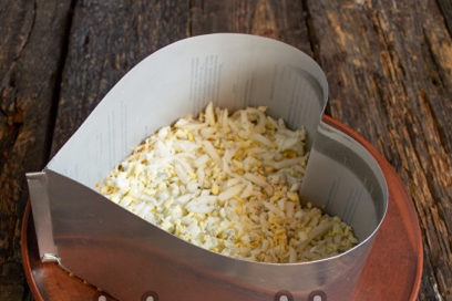 egg layer
