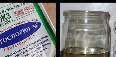 seed treatment