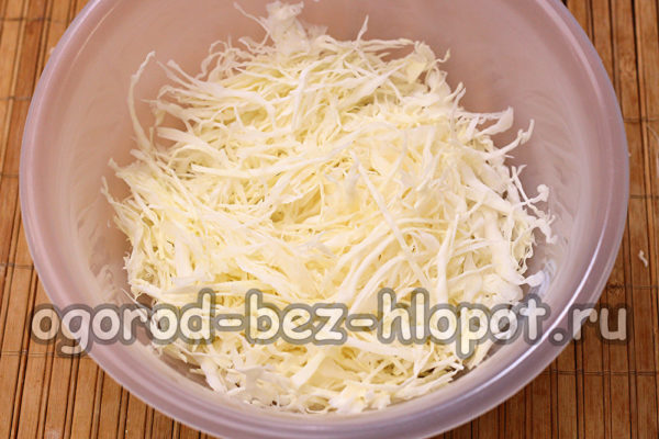 shredded cabbage