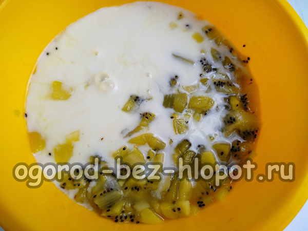 kiwi and yogurt
