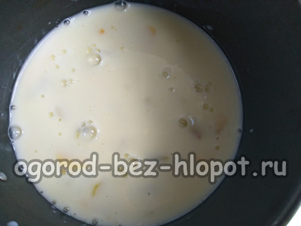 yogurt mass