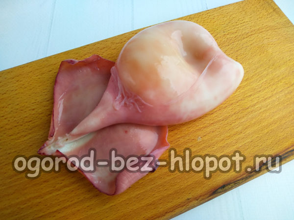 boil squid and clean
