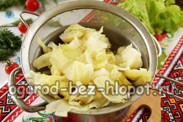 boil the cabbage