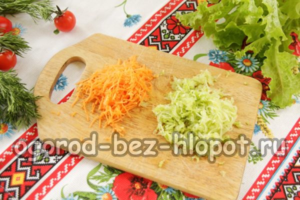 carrots and zucchini grate