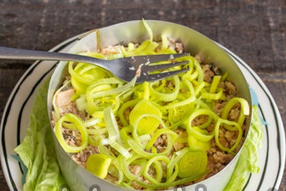 layer of leek