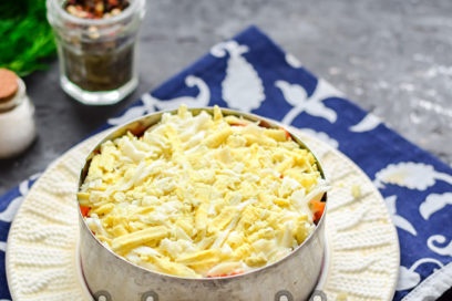 egg layer