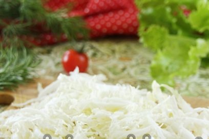 cabbage