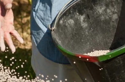 fertilizer