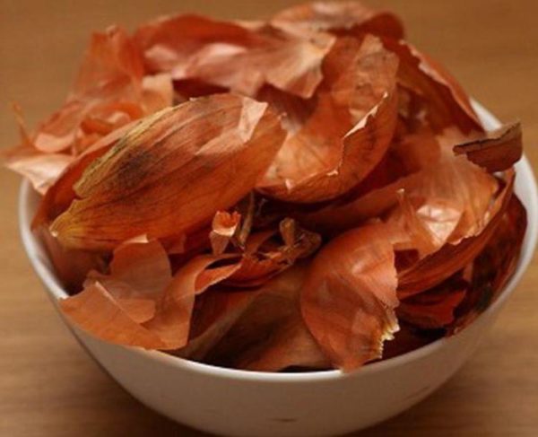 photo of onion peel