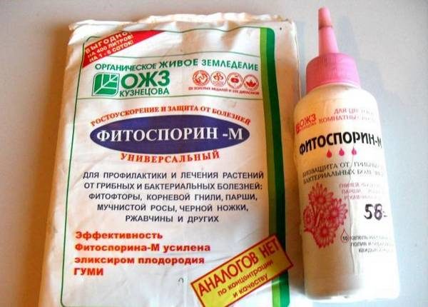 phytosporin powder