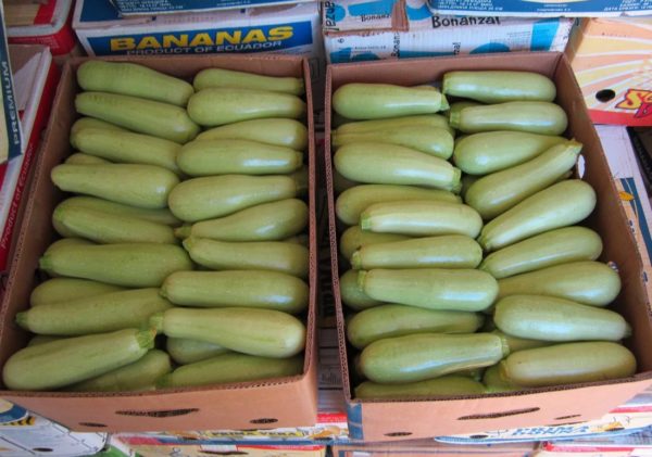 The secrets of keeping zucchini