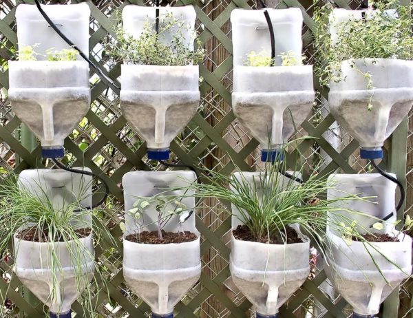 Crafts from Garden Canisters