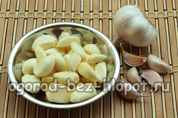 garlic