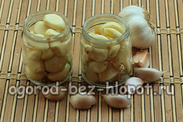 fill the jars with garlic