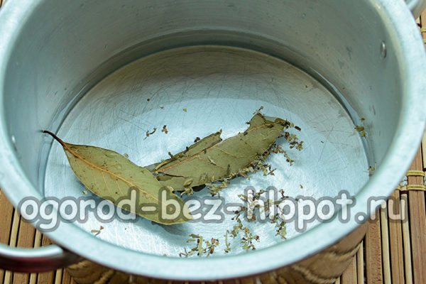 water, spices