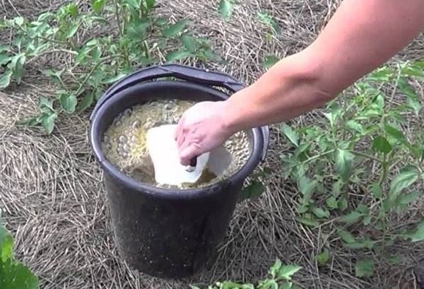 fertilizer