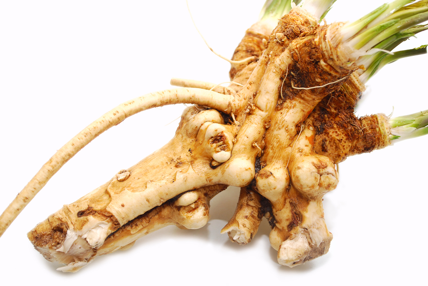 Horseradish