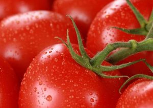 Tomatoes 