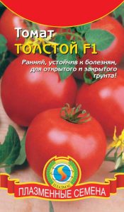 variety of tomato thick photo and description