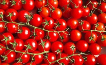 Rapunzel tomato variety description