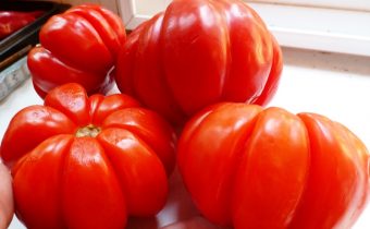 tomato puzata hut reviews photos yield