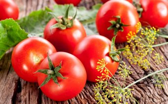 heat-resistant tomatoes for the south of Russia