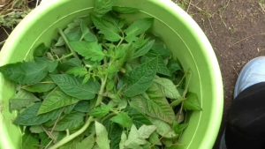 Cooking infusion