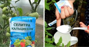 Calcium Nitrate