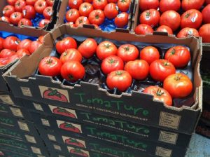 storage of tomatoes
