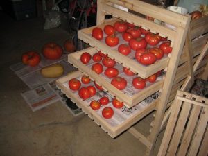 tomatoes in boxes
