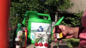 Top dressing with ammonia