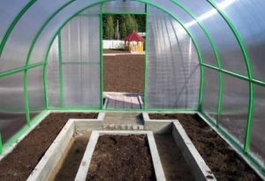 greenhouse