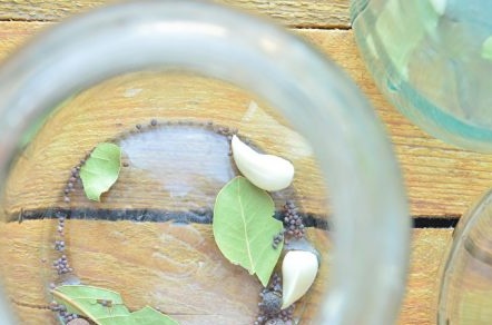 garlic, pepper, laurel in a jar