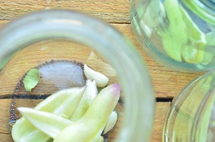put pepper in jars