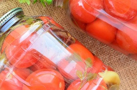 delicious tomatoes for the winter