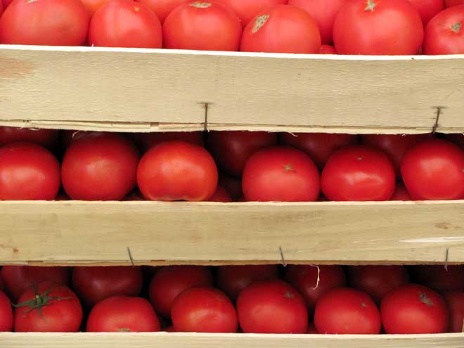 tomatoes in boxes