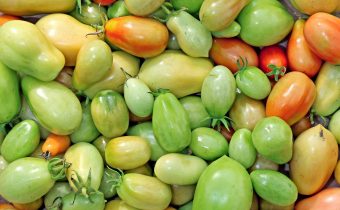 Green tomatoes