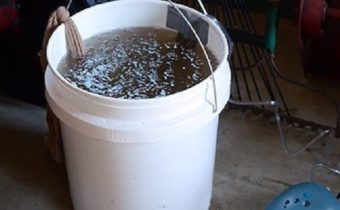 fertilizer for tomatoes