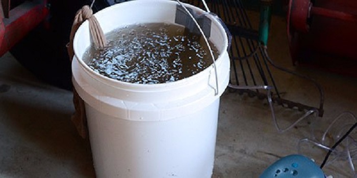 fertilizer for tomatoes