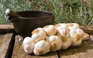 Garlic infusion