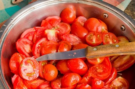 Sliced ​​Tomatoes